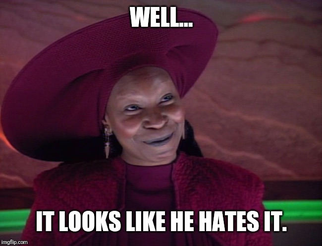 Guinan Smile | WELL... IT LOOKS LIKE HE HATES IT. | image tagged in guinan smile | made w/ Imgflip meme maker