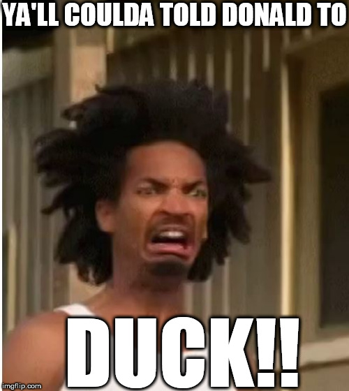 YA'LL COULDA TOLD DONALD TO DUCK!! | made w/ Imgflip meme maker