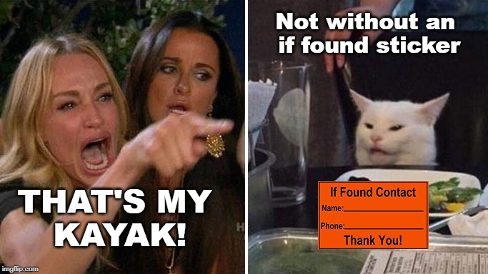 Angry lady cat | Not without an 
if found sticker; THAT'S MY
 KAYAK! | image tagged in angry lady cat | made w/ Imgflip meme maker