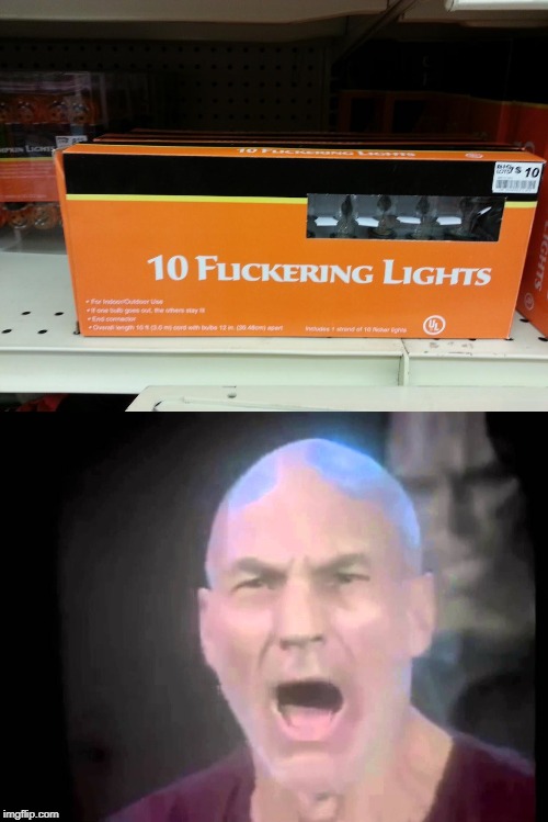 What Kind Of Lights? | image tagged in picard lights,memes,christmas lights | made w/ Imgflip meme maker
