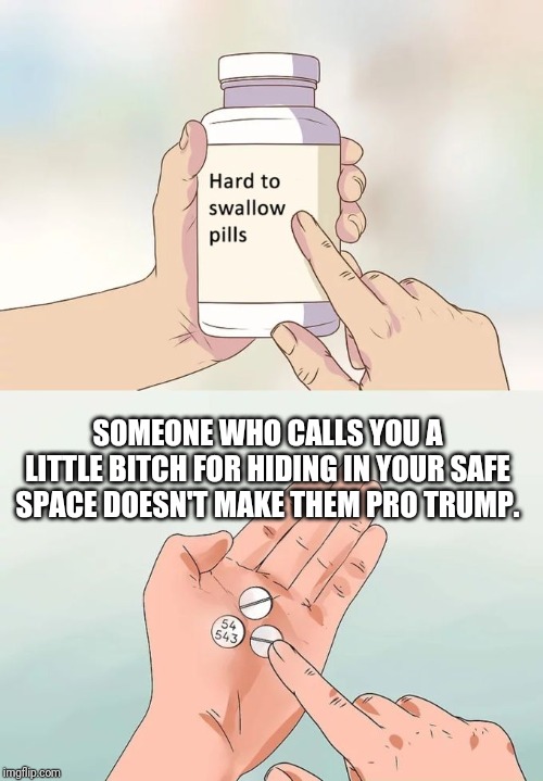SOMEONE WHO CALLS YOU A LITTLE B**CH FOR HIDING IN YOUR SAFE SPACE DOESN'T MAKE THEM PRO TRUMP. | made w/ Imgflip meme maker