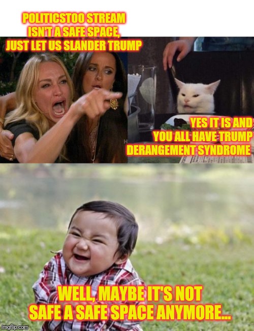 POLITICSTOO STREAM ISN'T A SAFE SPACE, JUST LET US SLANDER TRUMP; YES IT IS AND YOU ALL HAVE TRUMP DERANGEMENT SYNDROME; WELL, MAYBE IT'S NOT SAFE A SAFE SPACE ANYMORE... | image tagged in memes,evil toddler,woman yelling at cat | made w/ Imgflip meme maker