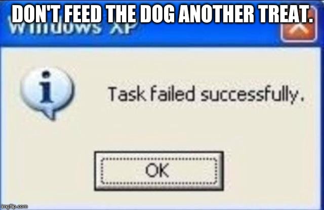 Task failed successfully | DON'T FEED THE DOG ANOTHER TREAT. | image tagged in task failed successfully | made w/ Imgflip meme maker
