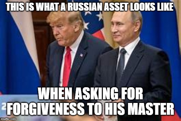 coward trump | THIS IS WHAT A RUSSIAN ASSET LOOKS LIKE; WHEN ASKING FOR FORGIVENESS TO HIS MASTER | image tagged in nevertrump,democratic party | made w/ Imgflip meme maker