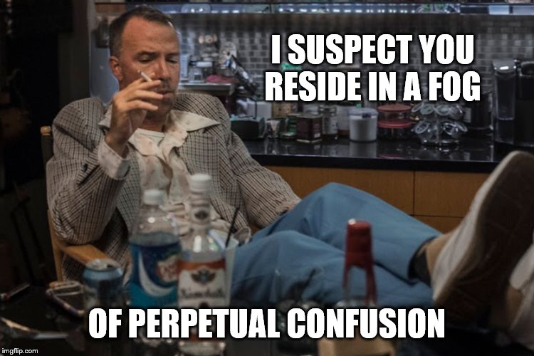 I SUSPECT YOU RESIDE IN A FOG OF PERPETUAL CONFUSION | made w/ Imgflip meme maker