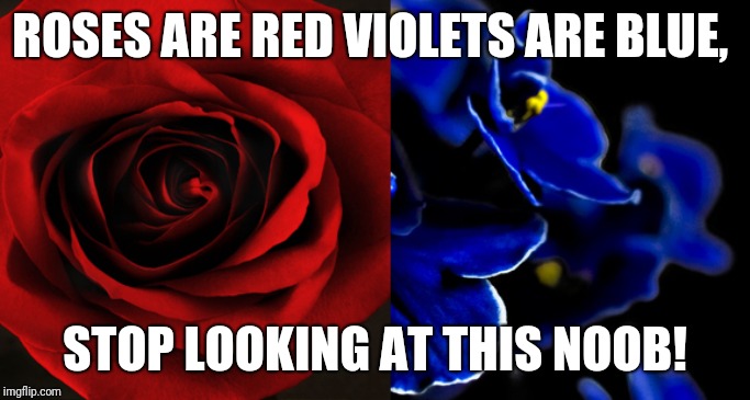 Roses are Red, Violets are Blue. | ROSES ARE RED VIOLETS ARE BLUE, STOP LOOKING AT THIS NOOB! | image tagged in roses are red violets are blue | made w/ Imgflip meme maker