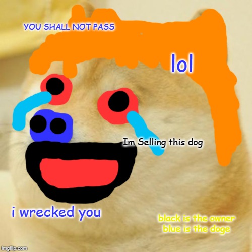 Doge | YOU SHALL NOT PASS; lol; Im Selling this dog; i wrecked you; black is the owner
blue is the doge | image tagged in memes,doge | made w/ Imgflip meme maker