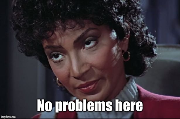 Uhura not amused | No problems here | image tagged in uhura not amused | made w/ Imgflip meme maker