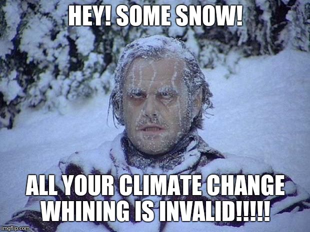 Jack Nicholson The Shining Snow Meme | HEY! SOME SNOW! ALL YOUR CLIMATE CHANGE WHINING IS INVALID!!!!! | image tagged in memes,jack nicholson the shining snow | made w/ Imgflip meme maker