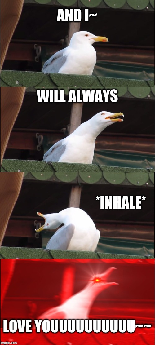 Inhaling Seagull Meme | AND I~; WILL ALWAYS; *INHALE*; LOVE YOUUUUUUUUUU~~ | image tagged in memes,inhaling seagull | made w/ Imgflip meme maker