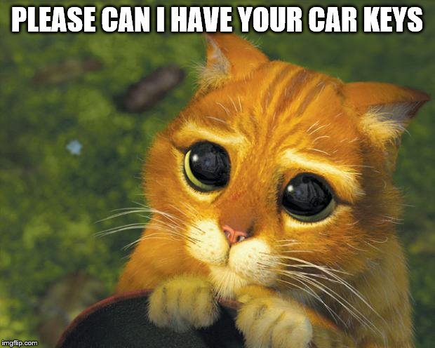 puss in boots | PLEASE CAN I HAVE YOUR CAR KEYS | image tagged in puss in boots | made w/ Imgflip meme maker