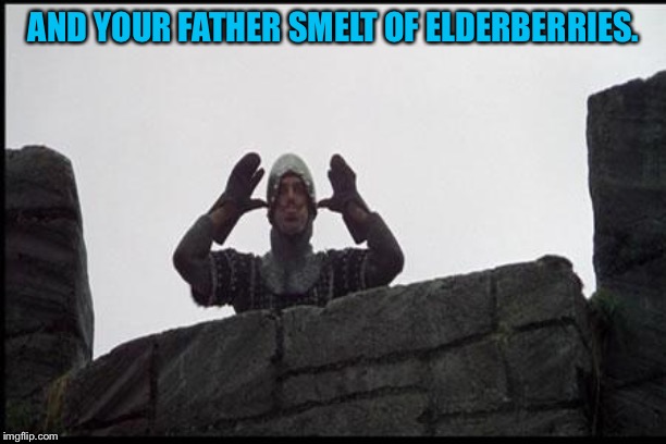 French Taunting in Monty Python's Holy Grail | AND YOUR FATHER SMELT OF ELDERBERRIES. | image tagged in french taunting in monty python's holy grail | made w/ Imgflip meme maker