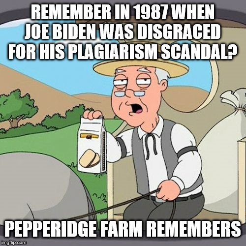 The first time Joe Biden ran for president | REMEMBER IN 1987 WHEN JOE BIDEN WAS DISGRACED FOR HIS PLAGIARISM SCANDAL? PEPPERIDGE FARM REMEMBERS | image tagged in memes,pepperidge farm remembers,joe biden plagiarism,plagiarism,unethical | made w/ Imgflip meme maker