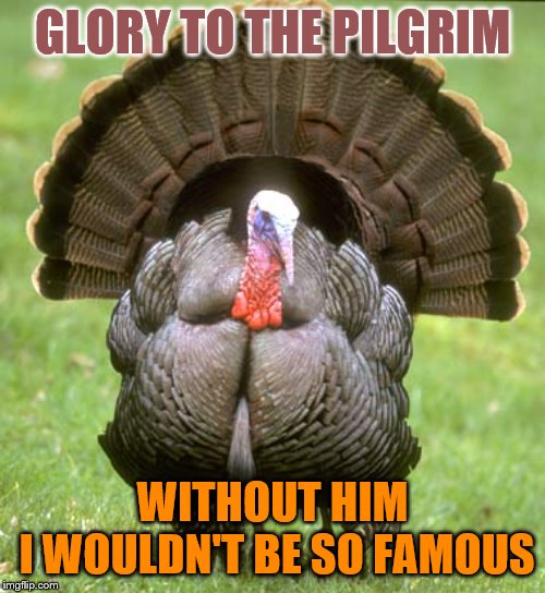 Happy Thanksgiving | GLORY TO THE PILGRIM; WITHOUT HIM
 I WOULDN'T BE SO FAMOUS | image tagged in memes,turkey | made w/ Imgflip meme maker