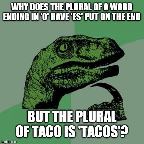 Tacos.....or tacoes? | WHY DOES THE PLURAL OF A WORD ENDING IN 'O' HAVE 'ES' PUT ON THE END; BUT THE PLURAL OF TACO IS 'TACOS'? | image tagged in memes,philosoraptor,question | made w/ Imgflip meme maker