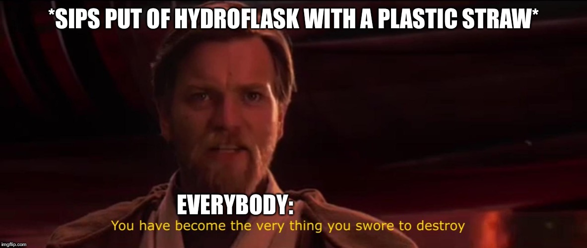 You have become the very thing you swore to destroy | *SIPS PUT OF HYDROFLASK WITH A PLASTIC STRAW*; EVERYBODY: | image tagged in you have become the very thing you swore to destroy | made w/ Imgflip meme maker