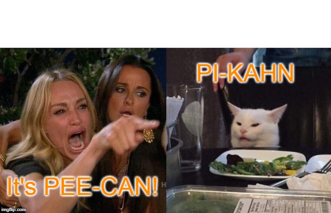Woman Yelling At Cat Meme | PI-KAHN; It's PEE-CAN! | image tagged in memes,woman yelling at cat | made w/ Imgflip meme maker