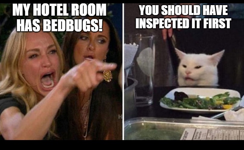 Bedbugs in my hotel room! | MY HOTEL ROOM HAS BEDBUGS! YOU SHOULD HAVE INSPECTED IT FIRST | image tagged in woman and cat meme,bedbugs,hotel,travel,woman yelling at cat | made w/ Imgflip meme maker