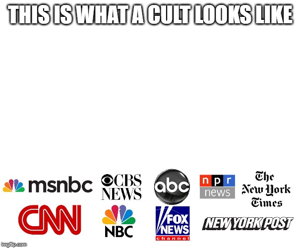 The real cult | THIS IS WHAT A CULT LOOKS LIKE | image tagged in msm,media | made w/ Imgflip meme maker