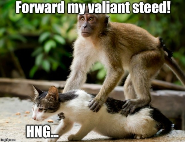 Bosses be like: | image tagged in cat,monkey,funny | made w/ Imgflip meme maker