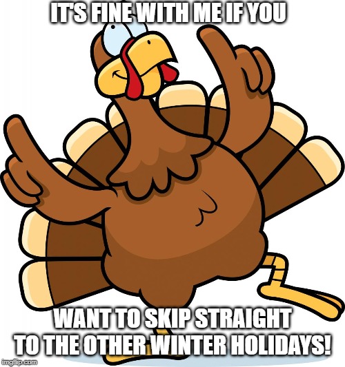 Turkey | IT'S FINE WITH ME IF YOU; WANT TO SKIP STRAIGHT TO THE OTHER WINTER HOLIDAYS! | image tagged in turkey | made w/ Imgflip meme maker