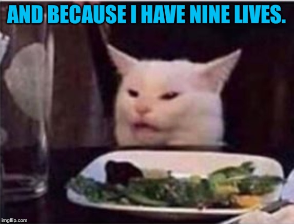 white dinner table cat | AND BECAUSE I HAVE NINE LIVES. | image tagged in white dinner table cat | made w/ Imgflip meme maker