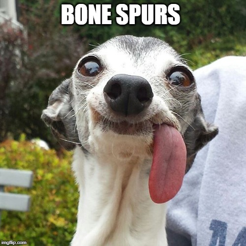 Dog tongue | BONE SPURS | image tagged in dog tongue | made w/ Imgflip meme maker