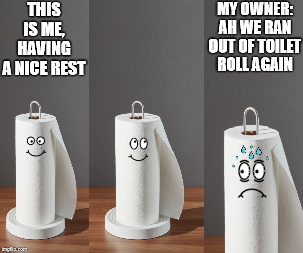 THIS IS ME, HAVING A NICE REST; MY OWNER: AH WE RAN OUT OF TOILET ROLL AGAIN | image tagged in paper towels | made w/ Imgflip meme maker