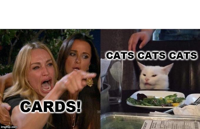 Woman Yelling At Cat Meme | CATS CATS CATS; CARDS! | image tagged in memes,woman yelling at cat | made w/ Imgflip meme maker