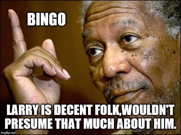 This Morgan Freeman | BINGO LARRY IS DECENT FOLK,WOULDN'T PRESUME THAT MUCH ABOUT HIM. | image tagged in this morgan freeman | made w/ Imgflip meme maker