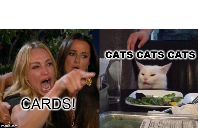 Woman Yelling At Cat | CATS CATS CATS; CARDS! | image tagged in memes,woman yelling at cat | made w/ Imgflip meme maker
