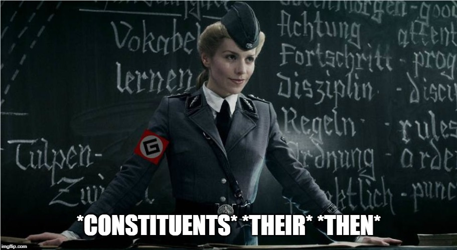 Grammar Nazi | *CONSTITUENTS* *THEIR* *THEN* | image tagged in grammar nazi | made w/ Imgflip meme maker