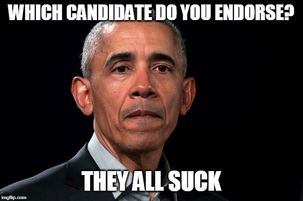 WHICH CANDIDATE DO YOU ENDORSE? THEY ALL SUCK | image tagged in obama,2020 elections,democrats,candidates | made w/ Imgflip meme maker