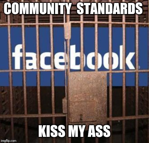Facebook jail | COMMUNITY  STANDARDS; KISS MY ASS | image tagged in facebook jail | made w/ Imgflip meme maker