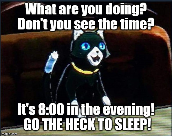 Yelling Morgana | What are you doing? Don't you see the time? It's 8:00 in the evening!  GO THE HECK TO SLEEP! | image tagged in yelling morgana | made w/ Imgflip meme maker