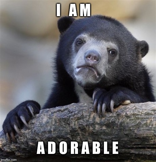 Confession Bear | I   A M; A D O R A B L E | image tagged in memes,confession bear | made w/ Imgflip meme maker
