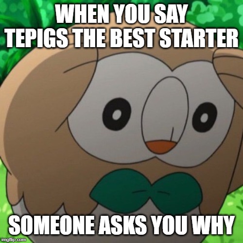 Rowlet Meme Template | WHEN YOU SAY TEPIGS THE BEST STARTER; SOMEONE ASKS YOU WHY | image tagged in rowlet meme template | made w/ Imgflip meme maker
