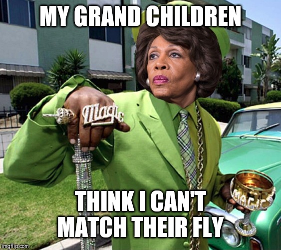 Jroc113 | MY GRAND CHILDREN; THINK I CAN'T MATCH THEIR FLY | image tagged in maxine waters poverty pimp | made w/ Imgflip meme maker