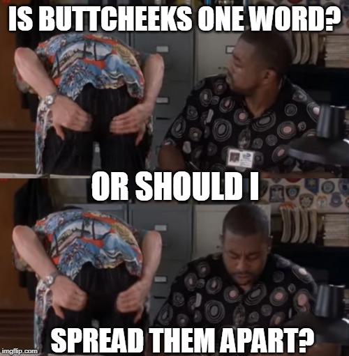 IS BUTTCHEEKS ONE WORD? OR SHOULD I; SPREAD THEM APART? | image tagged in memes,ace ventura,butt | made w/ Imgflip meme maker