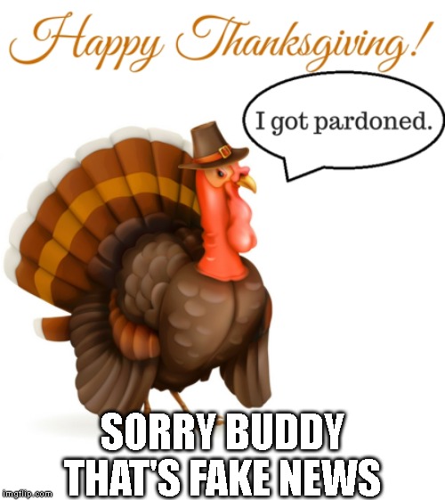Waiting for a Presidential Pardon | SORRY BUDDY THAT'S FAKE NEWS | image tagged in happy thanksgiving,turkey,pardon me,pardon,fake news | made w/ Imgflip meme maker