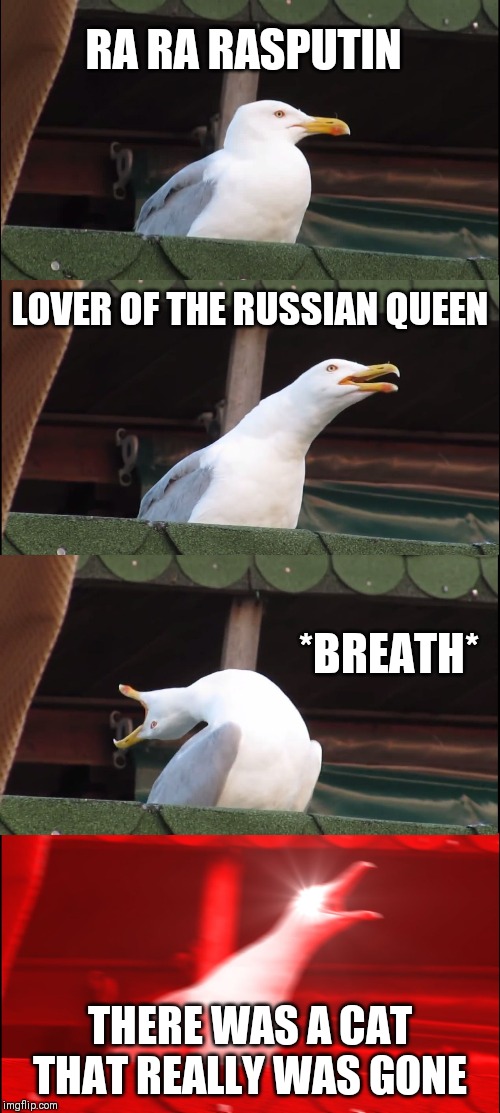 Inhaling Seagull Meme | RA RA RASPUTIN; LOVER OF THE RUSSIAN QUEEN; *BREATH*; THERE WAS A CAT THAT REALLY WAS GONE | image tagged in memes,inhaling seagull | made w/ Imgflip meme maker