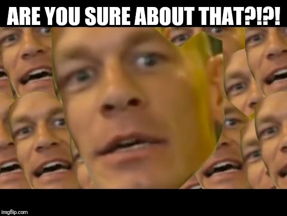 Are you sure about that | ARE YOU SURE ABOUT THAT?!?! | image tagged in are you sure about that | made w/ Imgflip meme maker