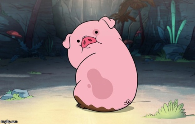 Gravity Falls pig | image tagged in gravity falls pig | made w/ Imgflip meme maker