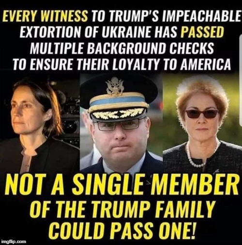 Loyalty checks to America Trump fails | . | image tagged in loyalty checks to america trump fails,impeachment,witnesses,loyalty | made w/ Imgflip meme maker