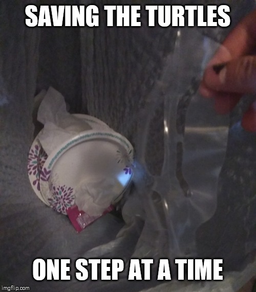 SAVING THE TURTLES; ONE STEP AT A TIME | image tagged in turtles,plastic,trash can,paper plates | made w/ Imgflip meme maker