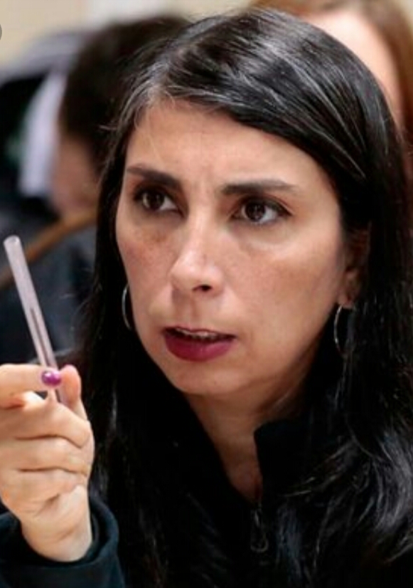 Karla Rubilar Blank Meme Template