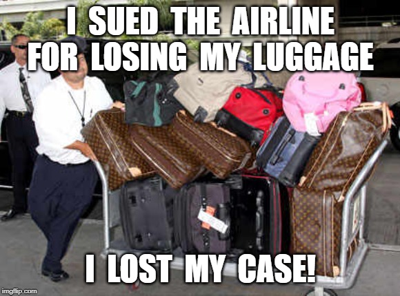 luggage | I  SUED  THE  AIRLINE FOR  LOSING  MY  LUGGAGE; I  LOST  MY  CASE! | image tagged in luggage | made w/ Imgflip meme maker