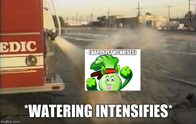 Oopsie | *WATERING INTENSIFIES* | image tagged in oopsie | made w/ Imgflip meme maker