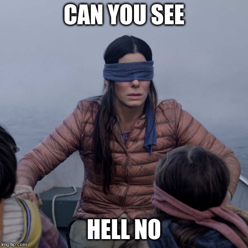 Bird Box | CAN YOU SEE; HELL NO | image tagged in memes,bird box | made w/ Imgflip meme maker