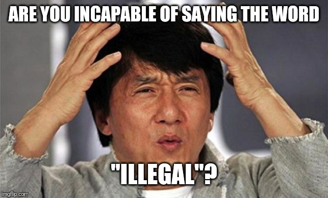 That moment when you realize Melania trump is an illegal immigra | ARE YOU INCAPABLE OF SAYING THE WORD "ILLEGAL"? | image tagged in that moment when you realize melania trump is an illegal immigra | made w/ Imgflip meme maker